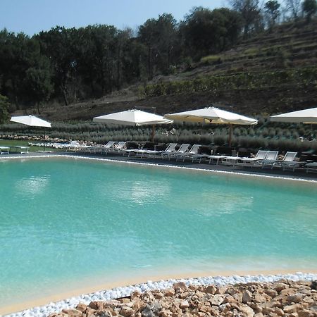 Agriturismo San Martino 포츠올리 외부 사진