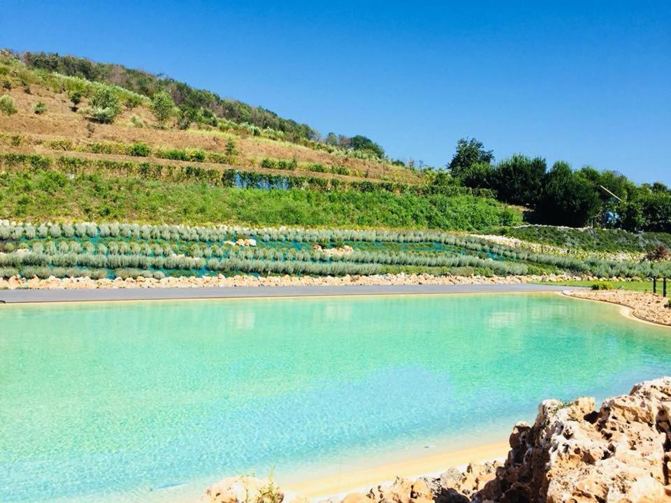 Agriturismo San Martino 포츠올리 외부 사진