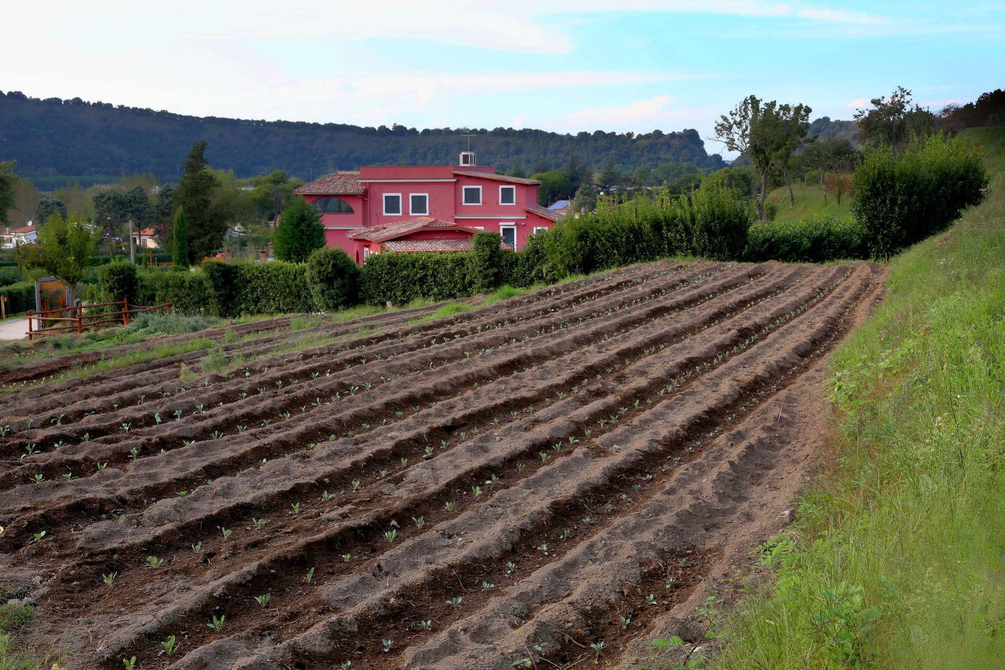 Agriturismo San Martino 포츠올리 외부 사진